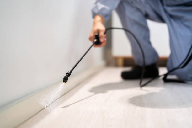 Licensed Exterminator service in Wellsville, OH - Show Me Pest Control